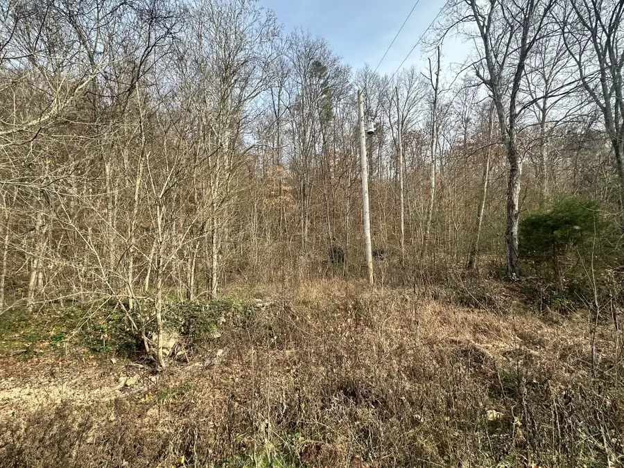 210 Trotter Rd, Waverly, TN 37185 - Image #3