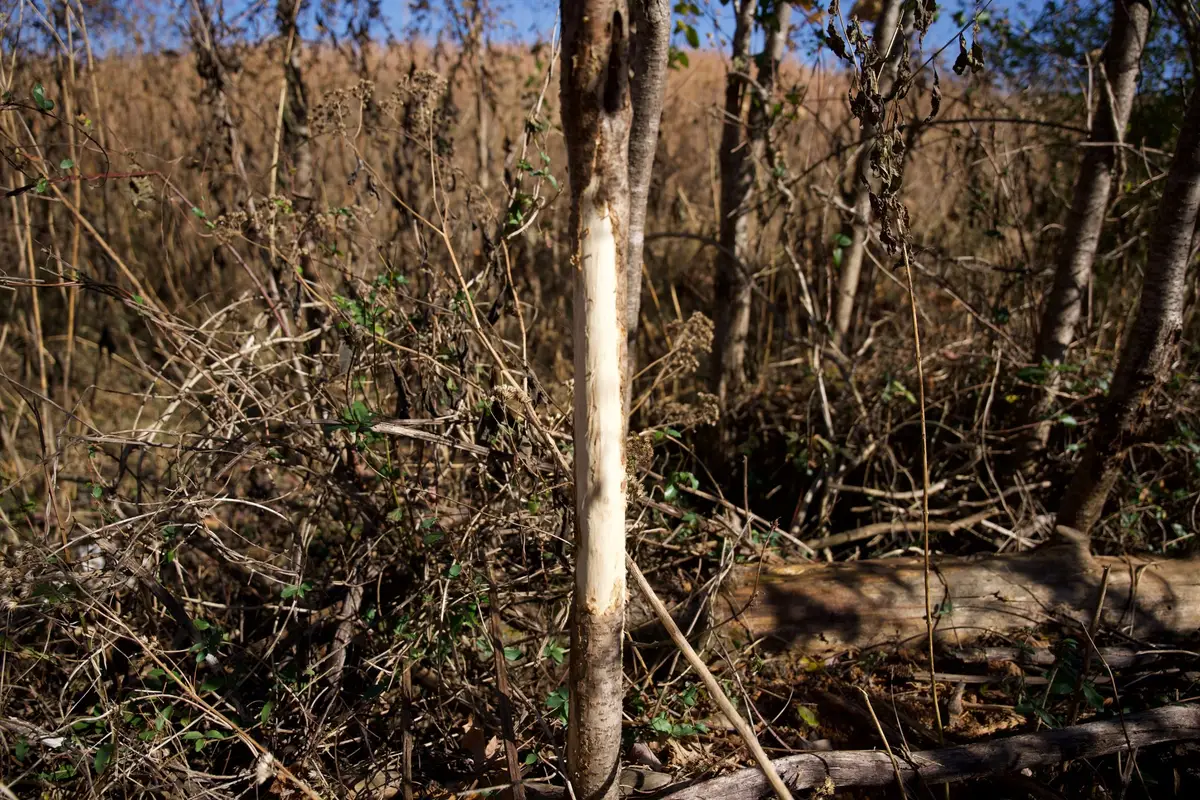 7 West Of Barlow Rd, Rock Island, TN 38581 - Image #1