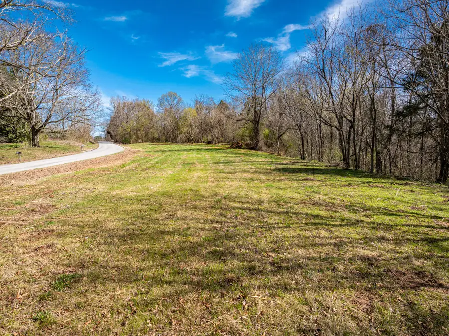 0 Lavinia Rd, Medina, TN 38355 - Image #3