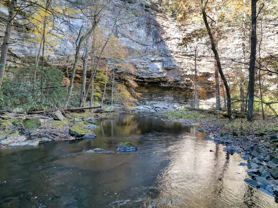 0 Carlson Road, Altamont, TN 37301 - Image #2