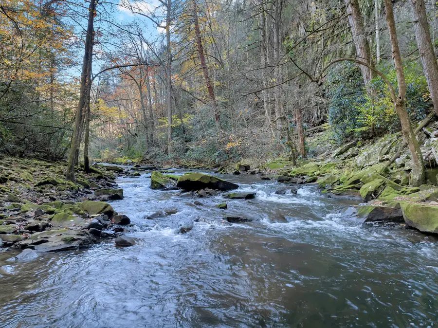 0 Carlson Road, Altamont, TN 37301 - Image #3