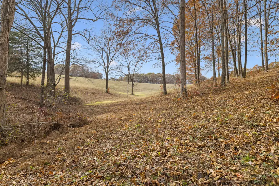 5515 Old Hwy 96, Franklin, TN 37064 - Image #2