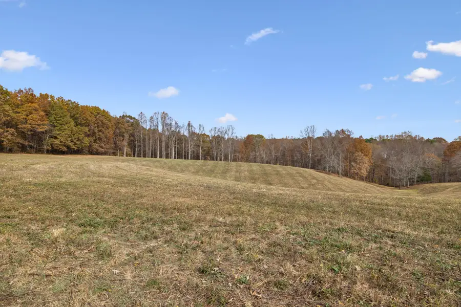 5515 Old Hwy 96, Franklin, TN 37064 - Image #3