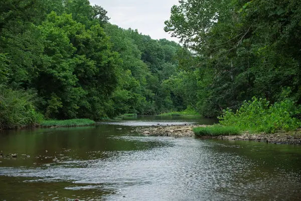 1125 Dawson Rd, White Bluff, TN 37187