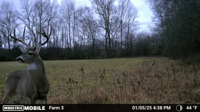 0 Duncan Road, Manchester, TN 37355 - Image #3