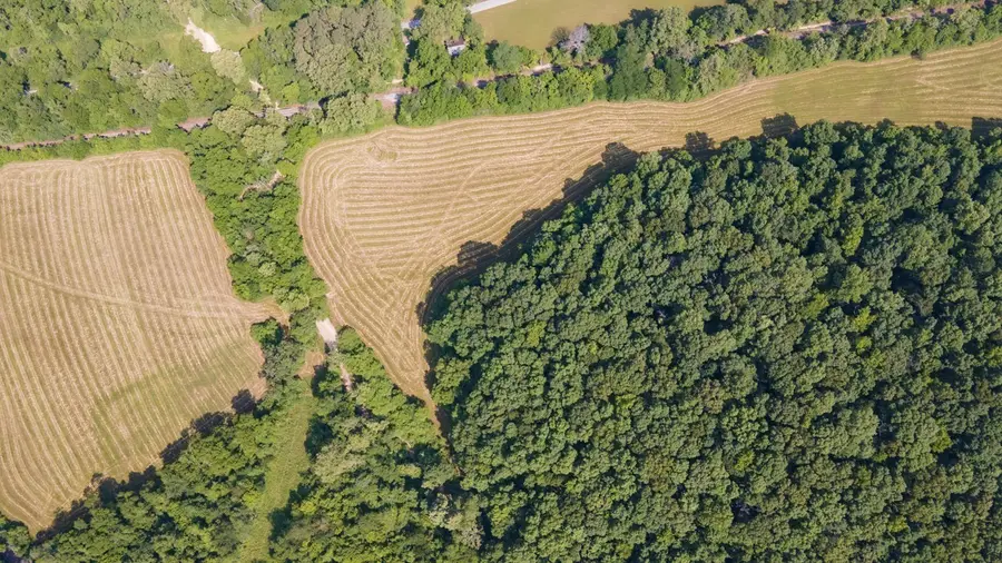 0 Goodrich Rd, Nunnelly, TN 37137 - Image #2