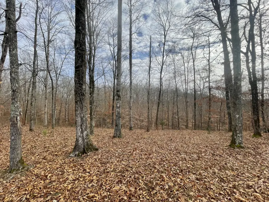 0 Stonebrook Drive, McEwen, TN 37101 - Image #3