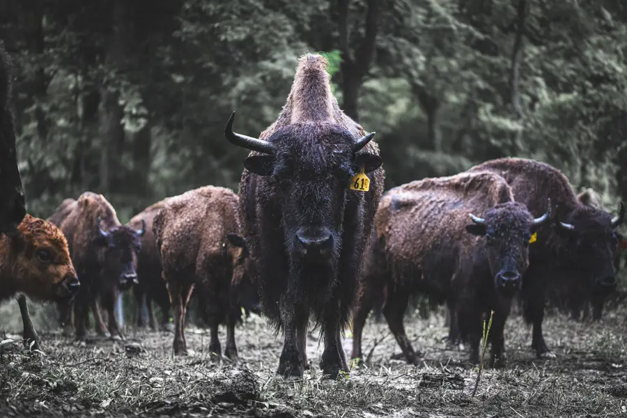 1020 Bison Rdg, Joelton, TN 37080 - Image #3