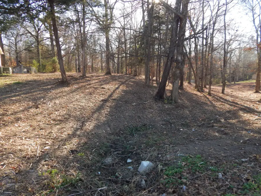 0 Cedar Cove Ln, Savannah, TN 38372 - Image #2