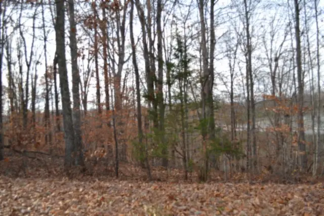 0 Wet Mill Creek Rd, Celina, TN 38551 - Image #1