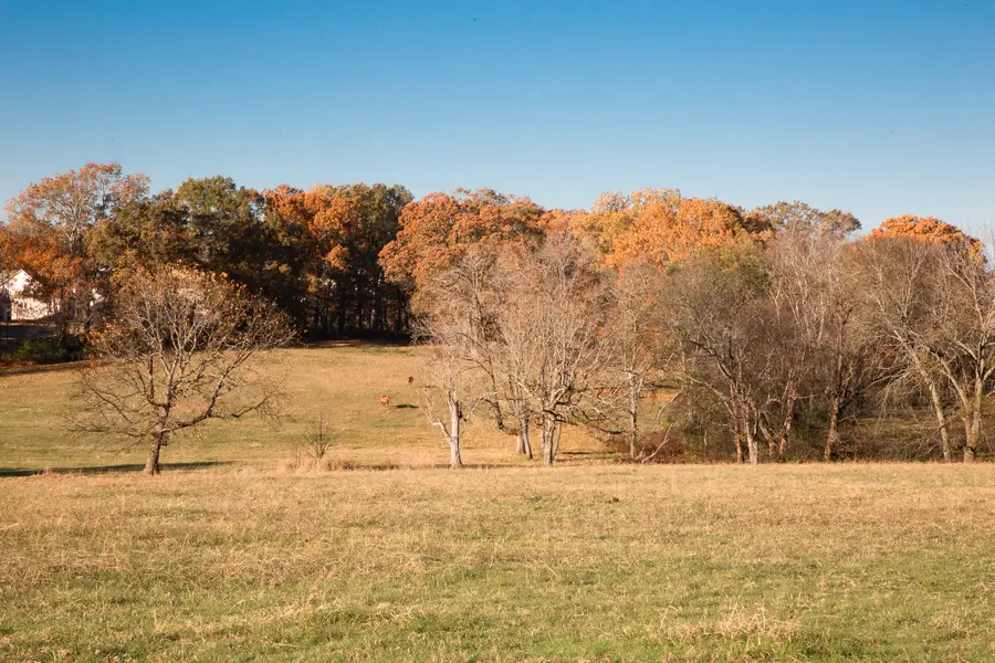 7252 Northwest Hwy, Fairview, TN 37062 - Image #2