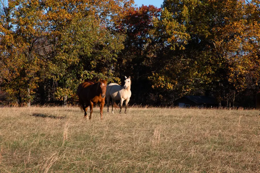 7252 Northwest Hwy, Fairview, TN 37062 - Image #3