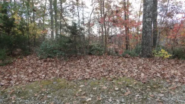 0 Drew Court, Smithville, TN 37166 - Image #2