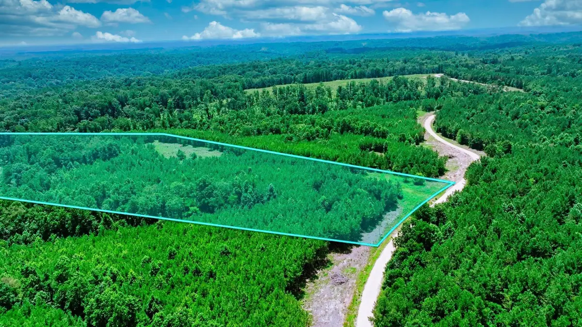 0 Cox Hollow, Dover, TN 37058 - Image #1