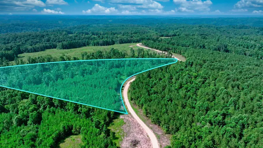 0 Cox Hollow, Dover, TN 37058 - Image #2