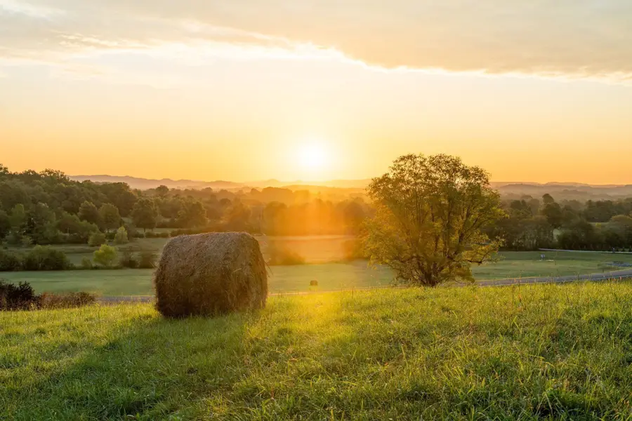 2006 Vista Creek Ln, Franklin, TN 37064 - Image #3