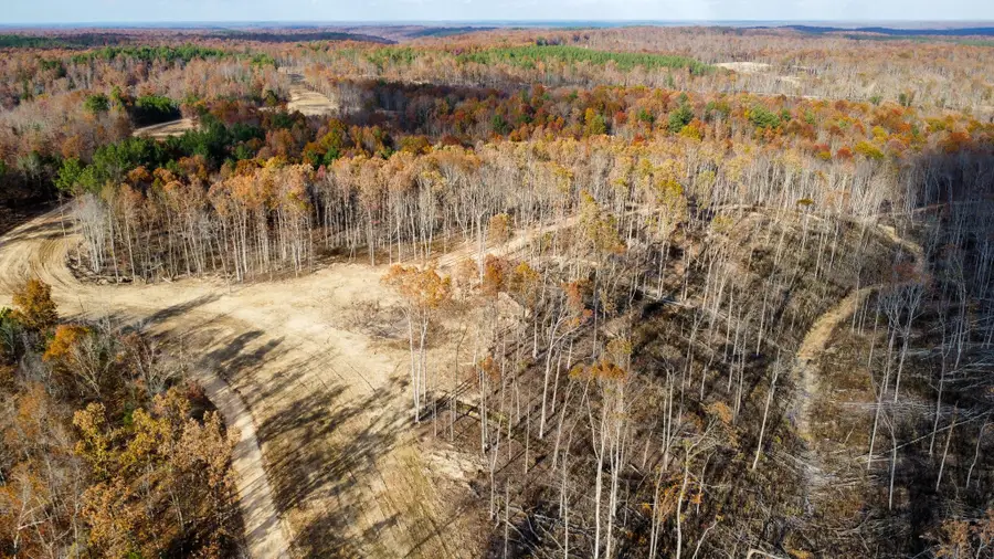 0 Firetower Rd, Centerville, TN 37033 - Image #2