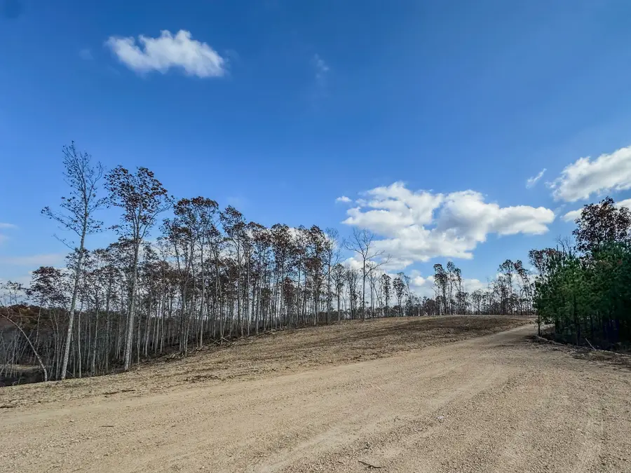 0 Firetower Rd, Centerville, TN 37033 - Image #3