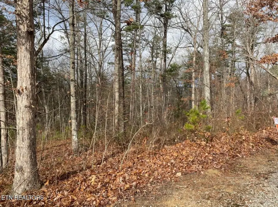 0 Eagle Bluff, Jamestown, TN 38556 - Image #2