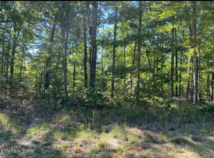 0 Eagle Bluff, Jamestown, TN 38556 - Image #3