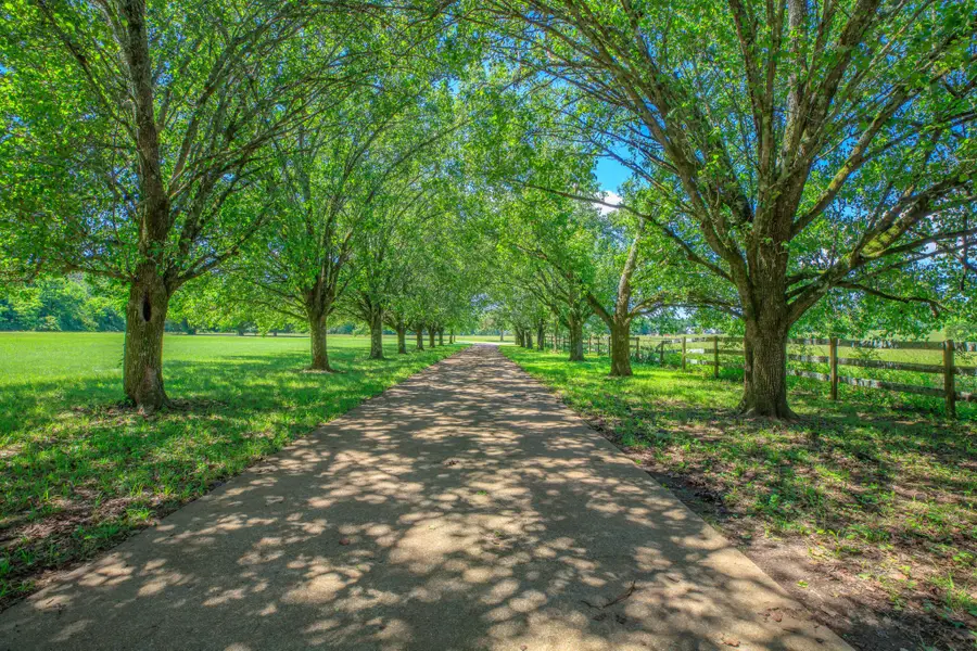 7902 Ooltewah Georgetown Road, Ooltewah, TN 37363 - Image #2