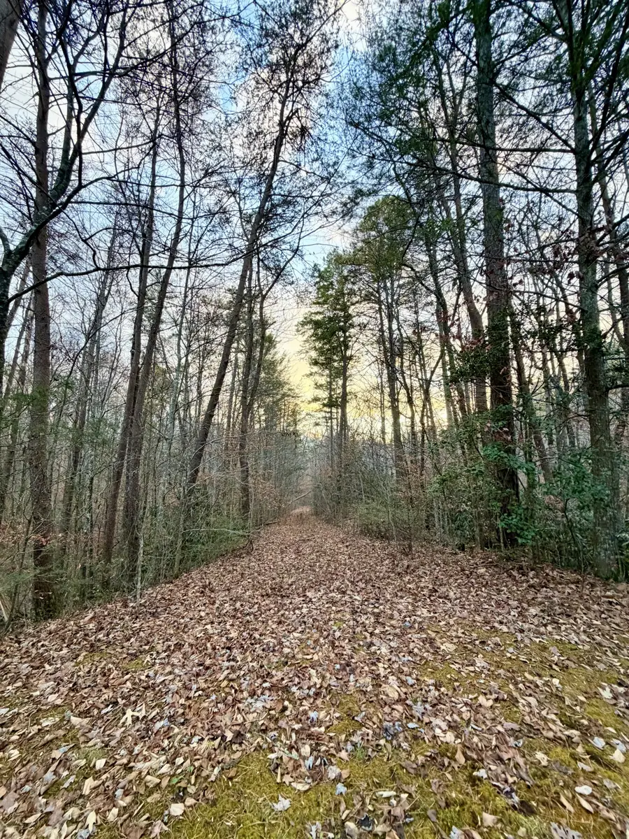 1 Wildwood Way, Sevierville, TN 37876 - Image #2