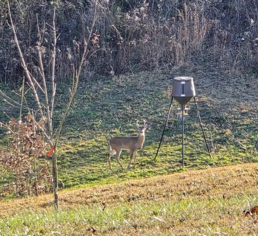 250 Justin Ln, McMinnville, TN 37110 - #2