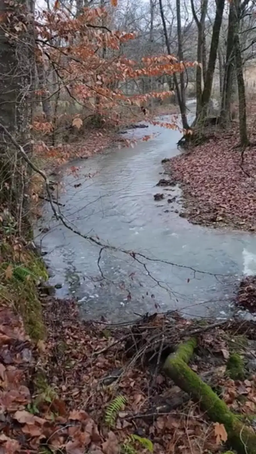 250 Justin Ln, McMinnville, TN 37110 - #3