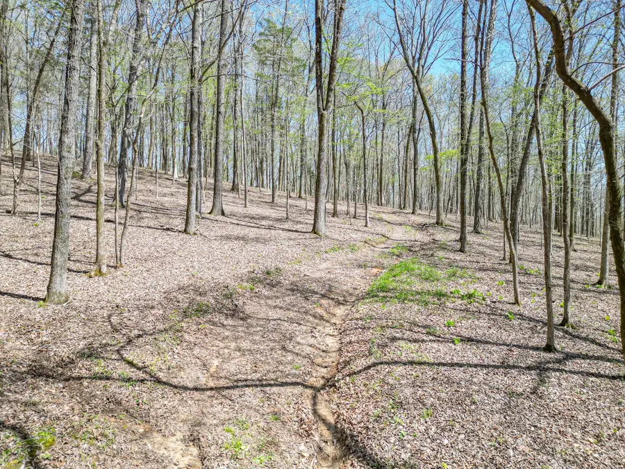 317 Highway 100, Centerville, TN 37033 - Image #3