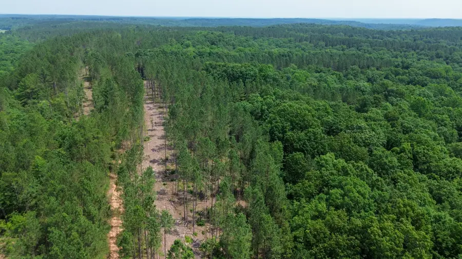 0 Mayfield Divide Rd, Centerville, TN 37033 - Image #2