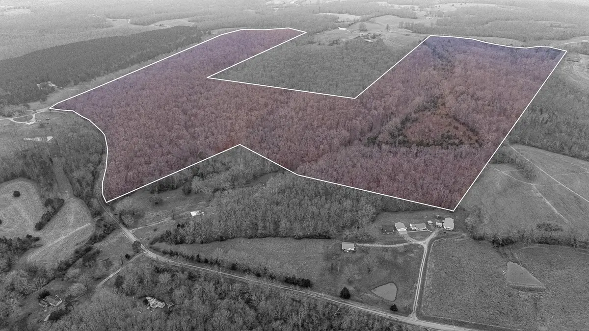 0 Waterloo Road, Westpoint, TN 38486 - Image #1