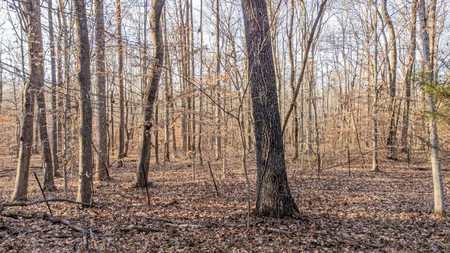 0 Mt Vernon Rd, Bethpage, TN 37022 - Image #3