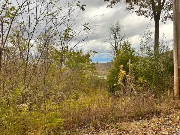 0 Schelley Rd, Gainesboro, TN 38562