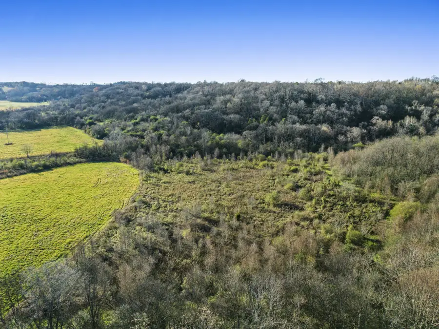 1 Hicks Lane, Columbia, TN 38401 - Image #3