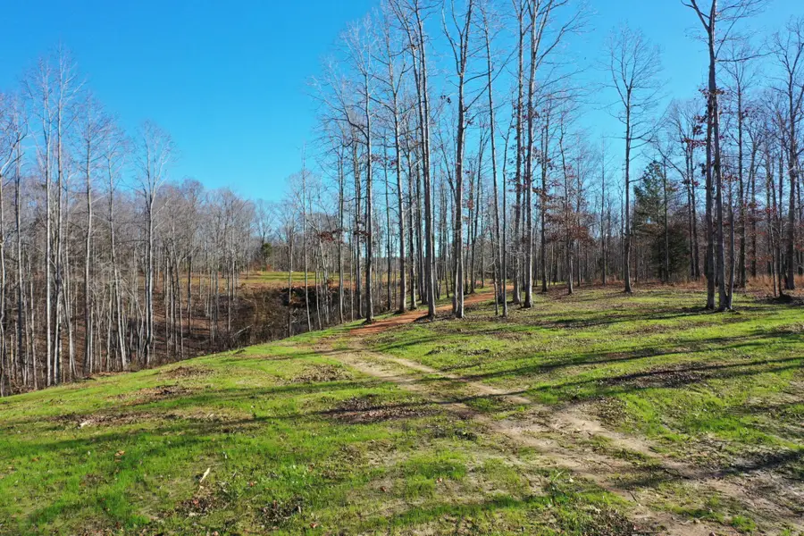 0 Bell Branch Road, Nunnelly, TN 37137 - Image #3