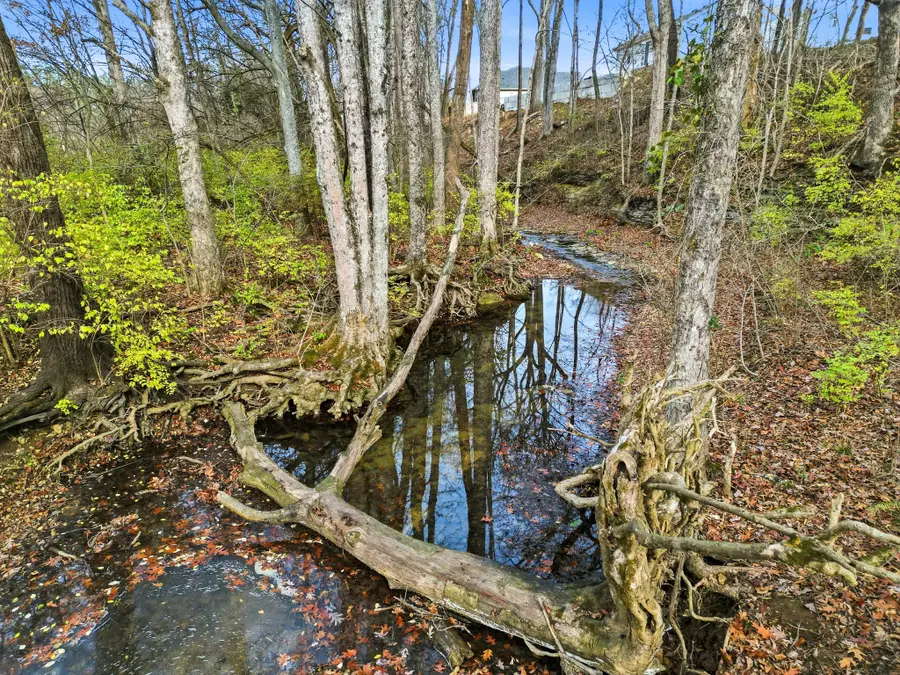 1010 Madalyn Way, Portland, TN 37148 - Image #3