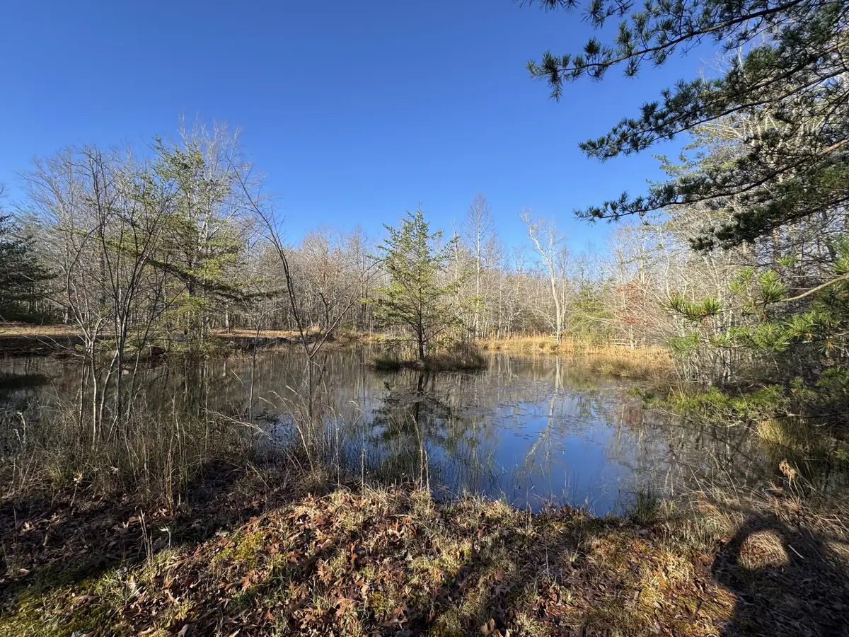 224 Azalea Ridge Rd, Tracy City, TN 37387 - Image #1