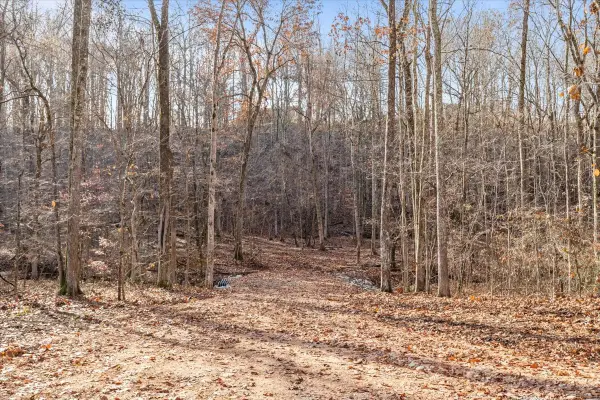 0 Rustling Oaks Dr, Waverly, TN 37185