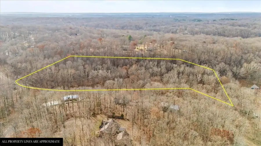 0 Rustling Oaks Dr, Waverly, TN 37185 - Image #3