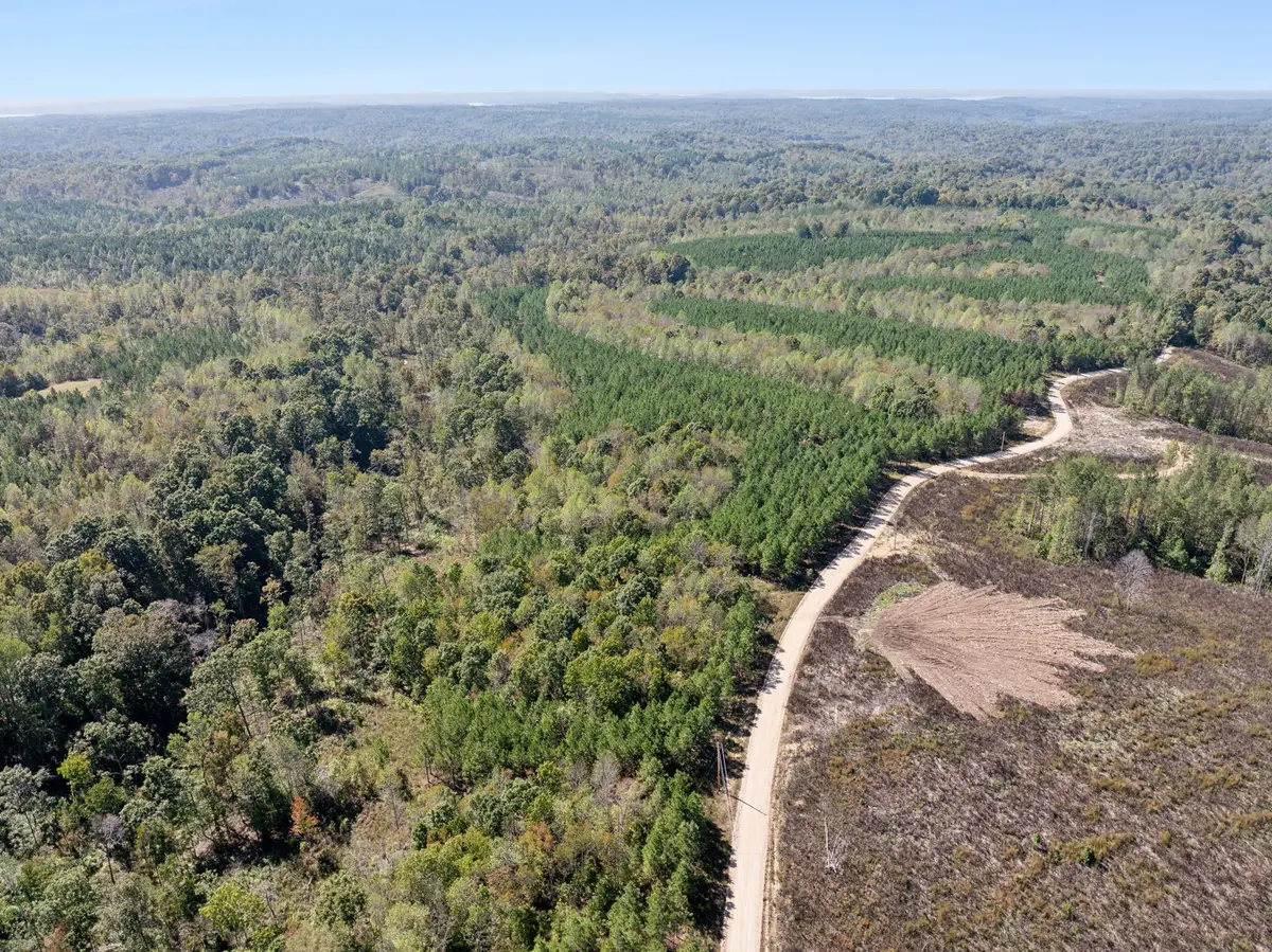 0 Cox Hollow, Dover, TN 37058 - Image #1