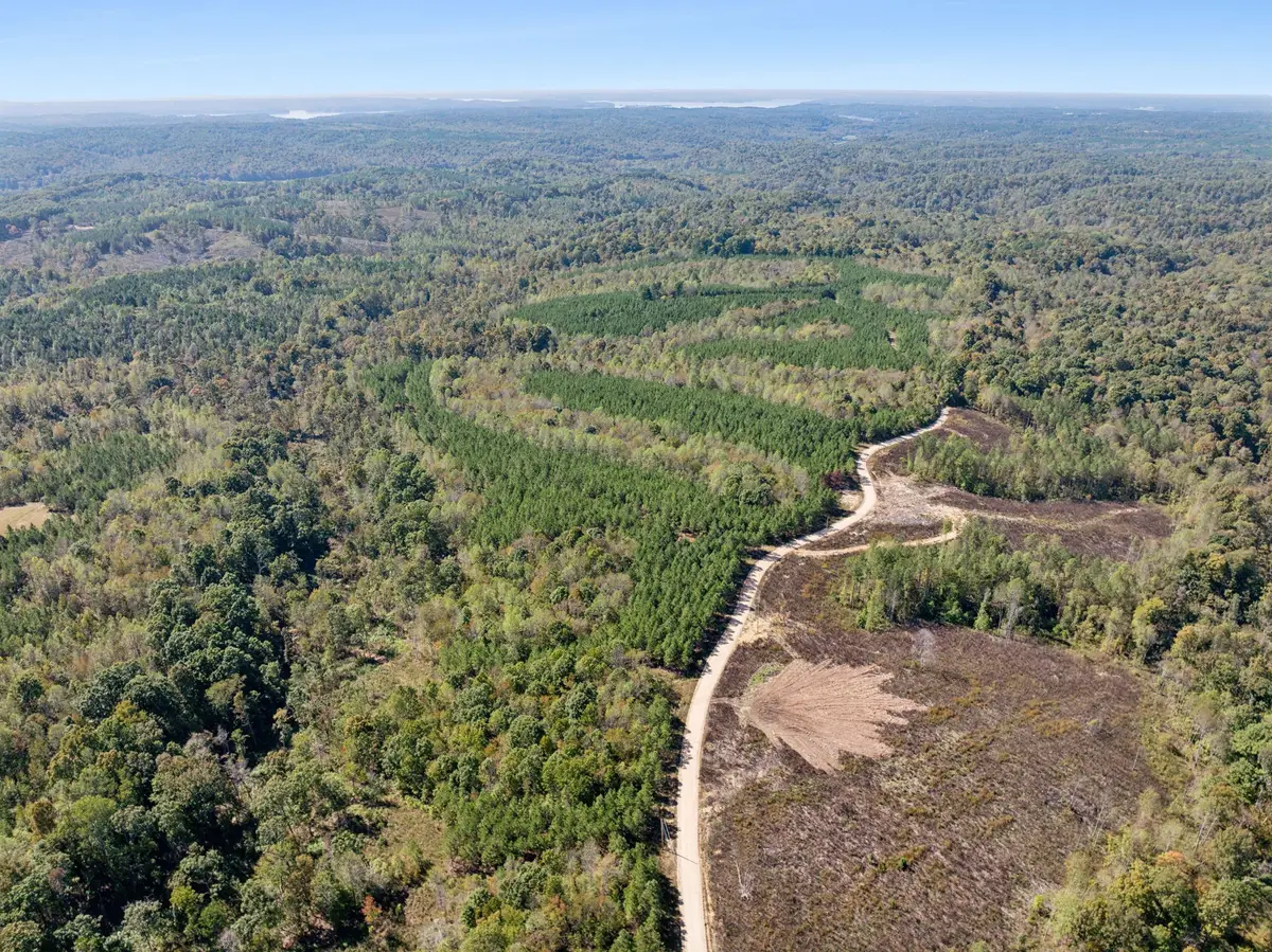 0 Cox Hollow, Dover, TN 37058 - Image #1