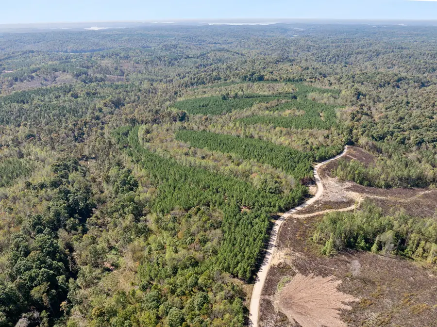 0 Cox Hollow, Dover, TN 37058 - Image #2