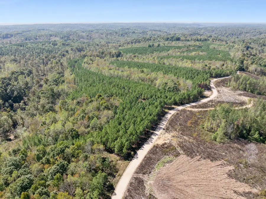 0 Cox Hollow, Dover, TN 37058 - Image #3