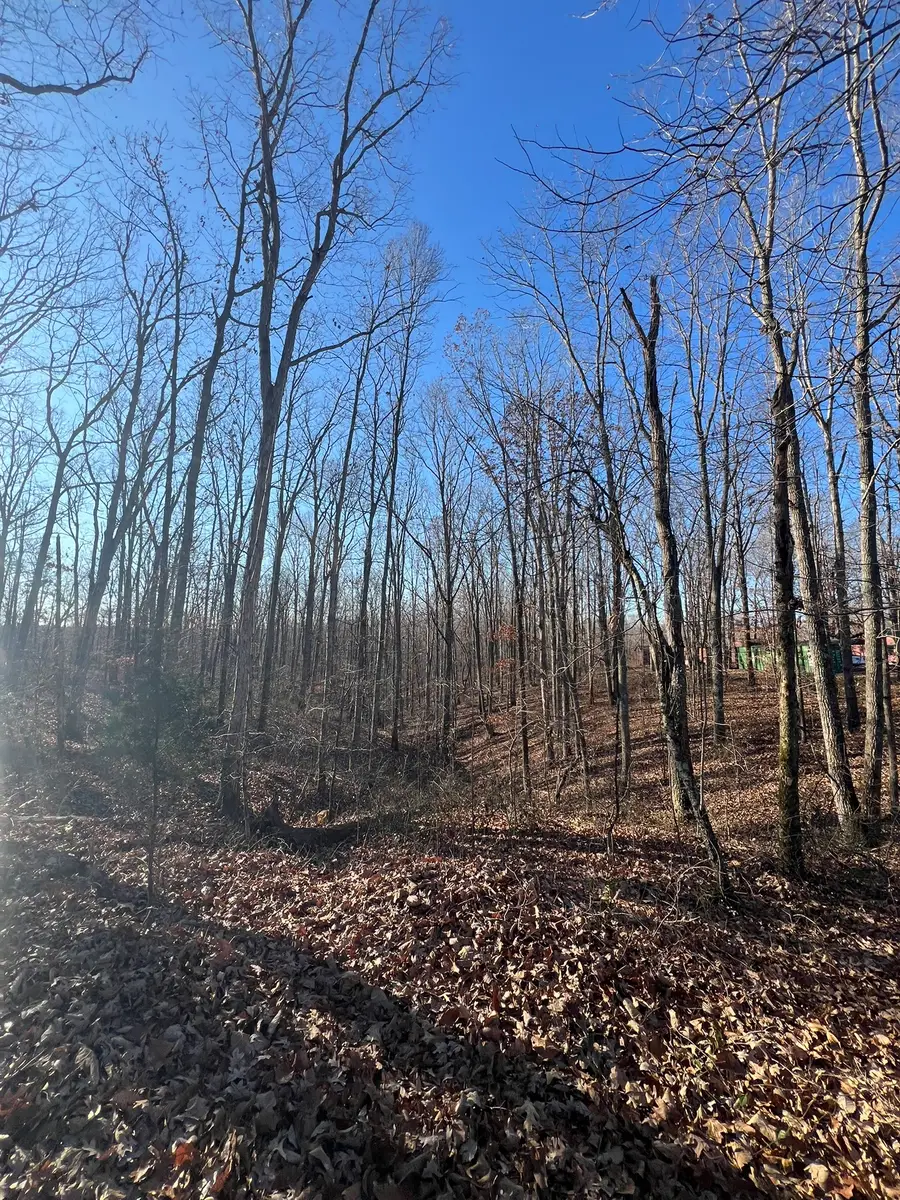 151 Kimberly Rd, Hohenwald, TN 38462 - Image #2