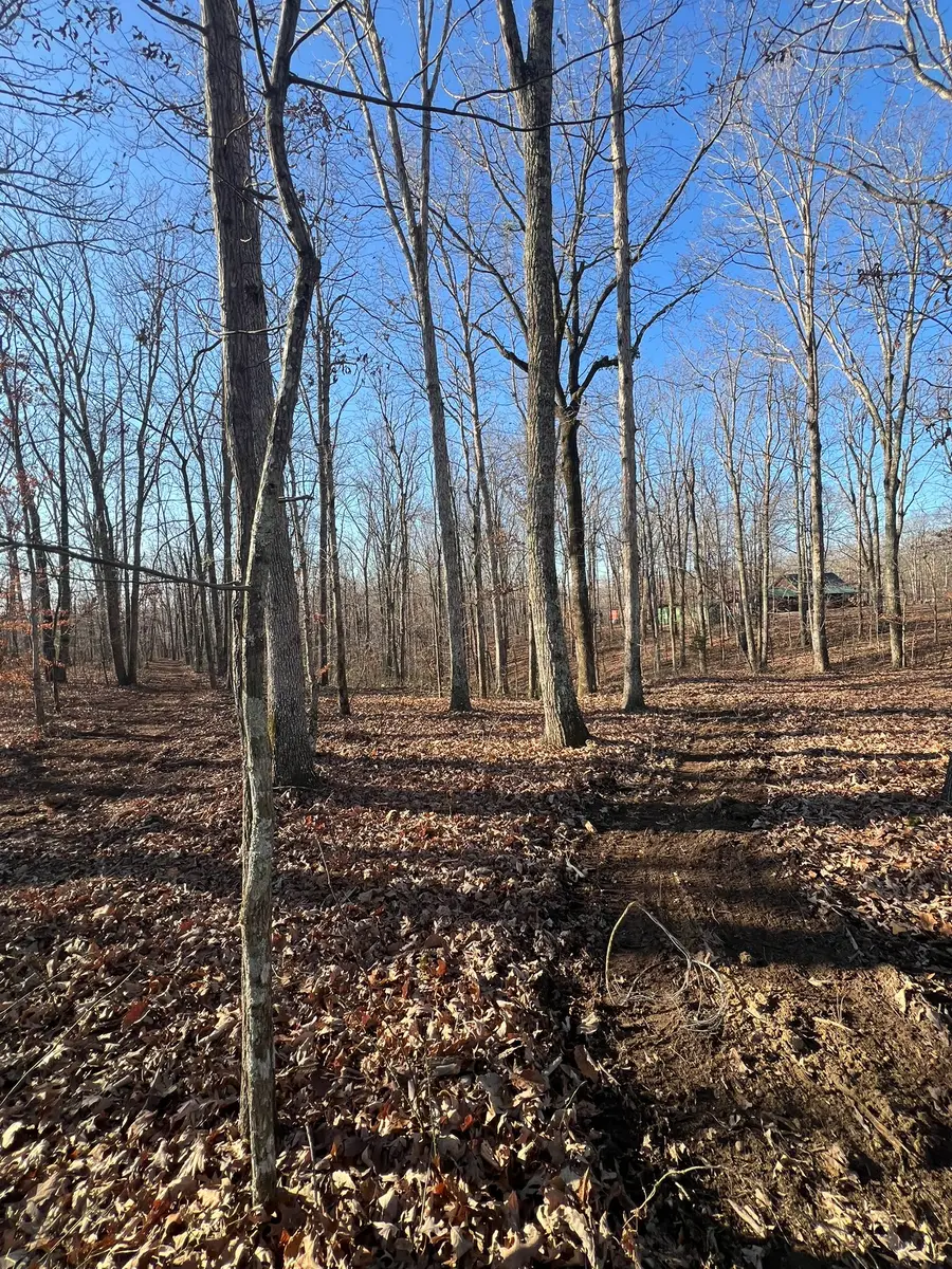 151 Kimberly Rd, Hohenwald, TN 38462 - Image #3