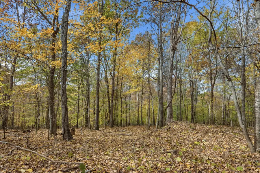 0 Vaughn Lane, Indian Mound, TN 37079 - Image #3