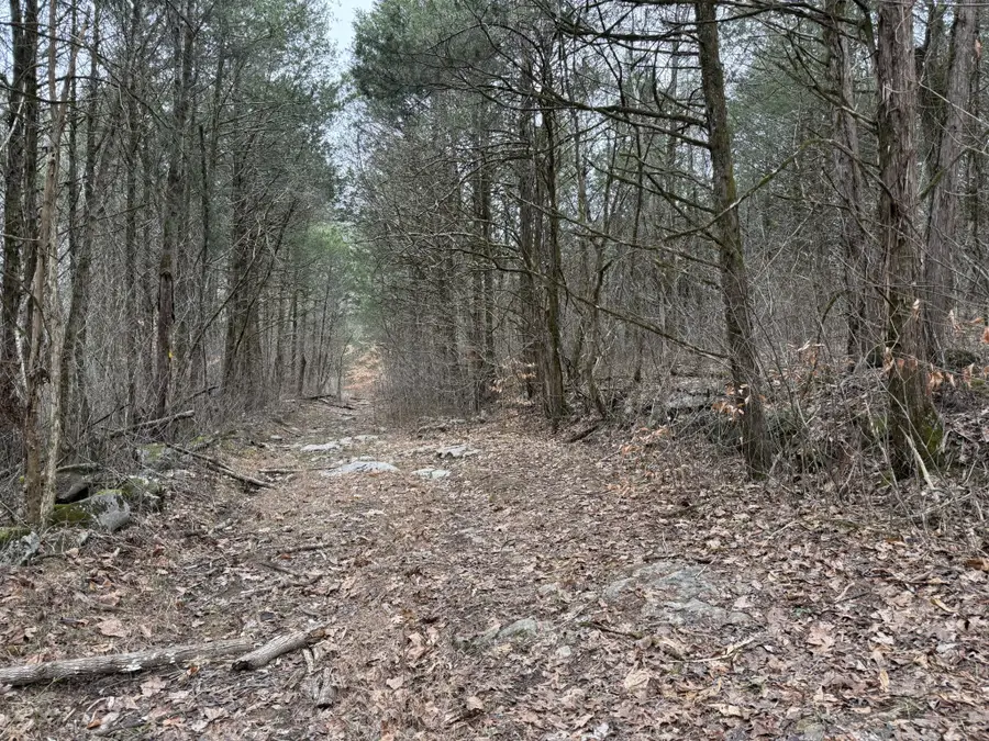 0 Cook Ln, Gainesboro, TN 38562 - Image #3