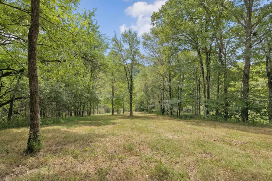 0 Funn Branch Road, Gainesboro, TN 38562 - Image #2
