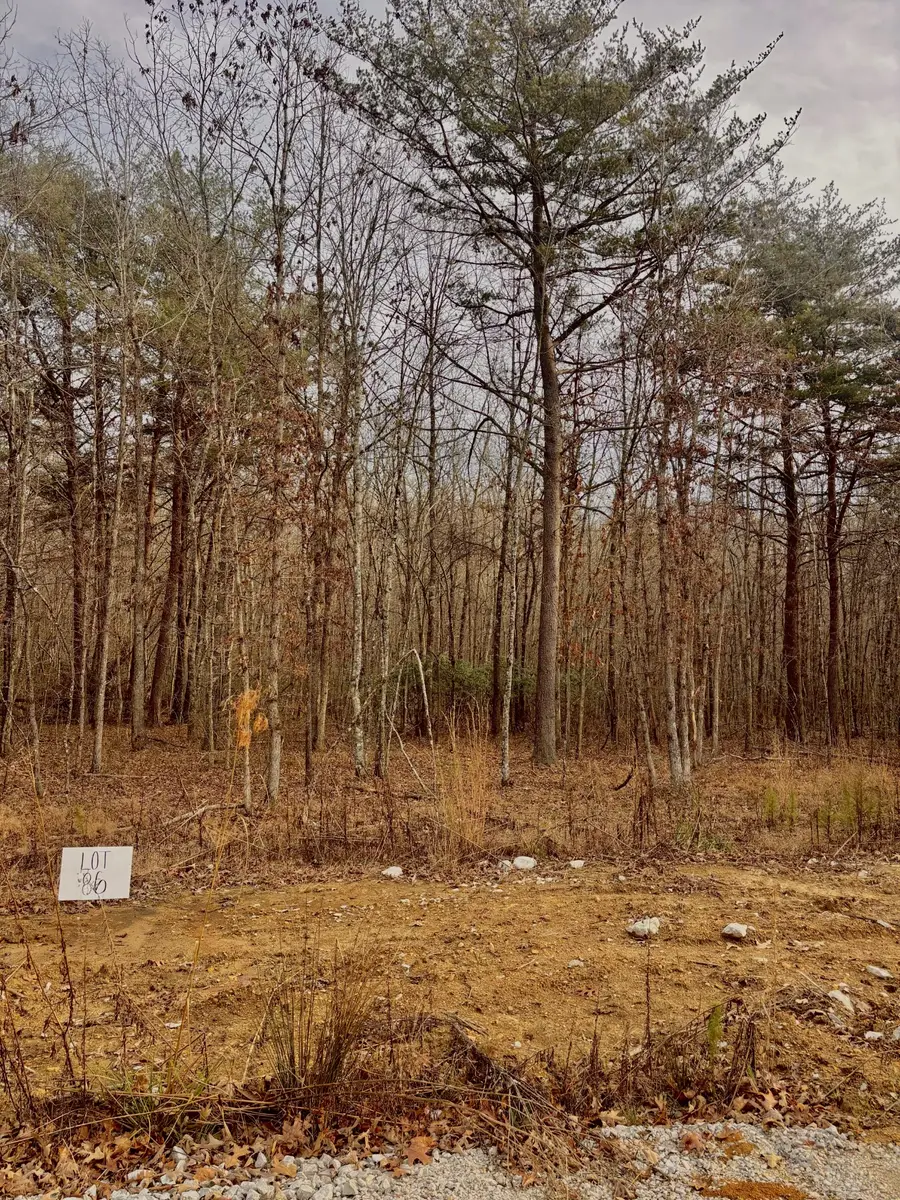 0 Summerfield Road, Monteagle, TN 37356 - Image #2