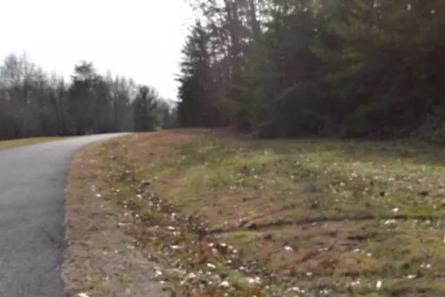 0 Shotgun Annie Rd, Jamestown, TN 38556 - Image #3